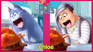 The Secret Life Of Pets 2 Characters as Humans.
