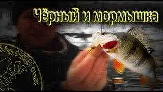 Микроджиг (наноджиг). Чёрный, мормышка и окунь.