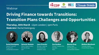 Driving finance towards Transitions - Transition Plans Challenges and Opportunities