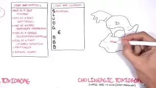 Cholinergic and Anticholinergic Toxicity (Toxidrome)