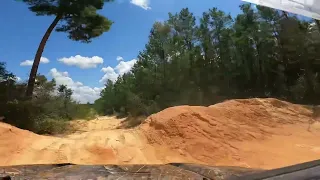 Ocala National Forest - Blue Sink SXS Ride