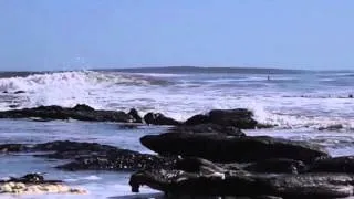 Surfing at Elands Bay with Paul Simon