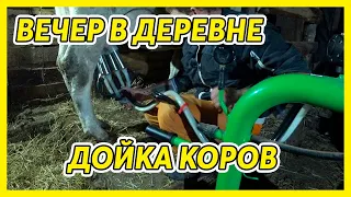 ВЕЧЕР НА ХОЗЯЙСТВЕ В ДЕРЕВНЕ: 3 КОРОВЫ, 40 КОЗ, 50 КУР, 2 СВИНЬИ // 24 часа в деревне