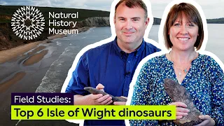 Our top six dinosaurs from the Isle of Wight | Field Studies