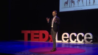 Genetica ed epigenetica: la memoria del DNA | Massimo Delledonne | TEDxLecce