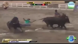Vaqueiro morre ao ser arrastado por boi e pisoteado por cavalo em Pernambuco