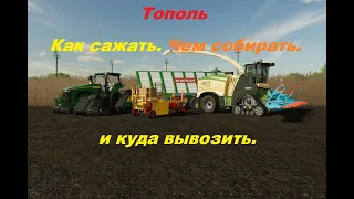 Тополь Как сажать , чем собирать и куда сдавать.Farming Simulator 22