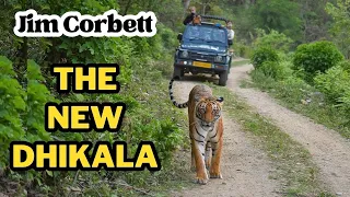 Jhirna is the new Dhikala | Jim Corbett National Park Best Zone | Jungle Safari | Tiger Sighting