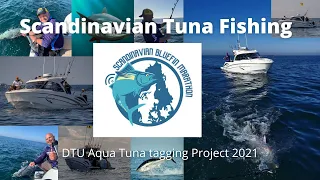 Scandinavian Bluefin Tuna tagging project 2021   MTDH