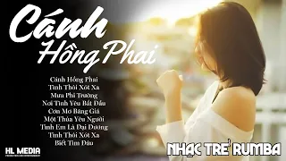 LK Nhạc Trẻ Rumba ▻ Cánh Hồng Phai - Nhạc Thời 8x9x Nghe Buồn Tâm Trạng Hay Nhất | Nhạc Hót Tiktok