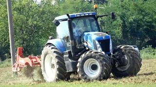 New Holland TG230 | Maschio Attila