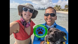 Dog Friendly Beaches of Miami
