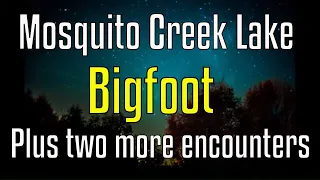 Three Bigfoot Encounters