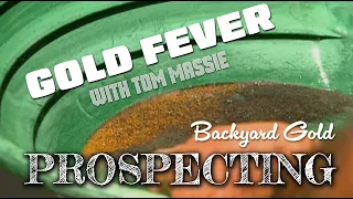 Gold Fever: Backyard Prospecting