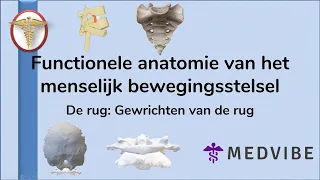 De Rug les 10: Gewrichten van de rug