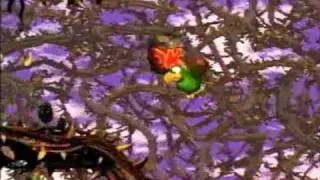 Donkey Kong Country 2 - 102% Walkthrough, Part 43 - Screech's Sprint