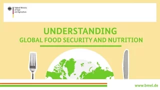 "Understanding global food security and nutrition"