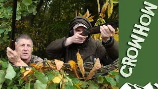 Decoying pigeons over November maize - Crowhow