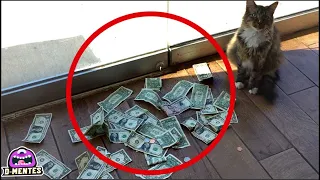 Todos los días el GATO traía mucho DINERO No creerás