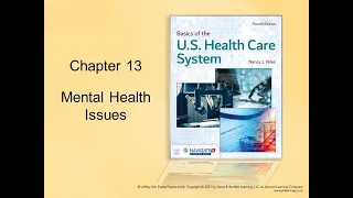 Intro to US Health Care Mental Health   overview