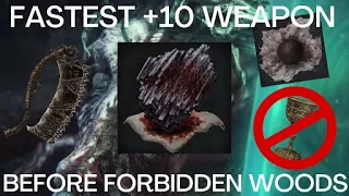 Bloodborne - Fastest +10 Weapon (No Chalice Dungeons)