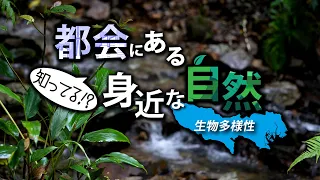 知ってる⁉都会にある身近な自然　第１回　生物多様性