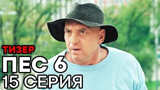 Сериал ПЕС 6 - 6 сезон - 15 серия - ТИЗЕР | СЕРИАЛЫ ICTV