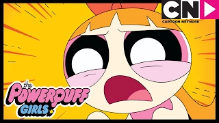 Powerpuff Girls | The Love Web | Cartoon Network