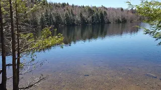 Sandy Pond, Freedom Maine
