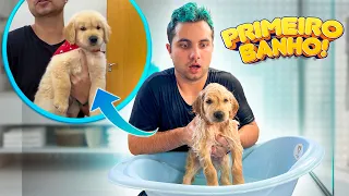 O PRIMEIRO BANHO DO CACHORRINHO ESTEFAN ! - Vida de Maloucos #7