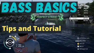 Bass Basics - Tutorial and Tips - What to do when Starting Out - Fishing Sim World Pro Tour 2020