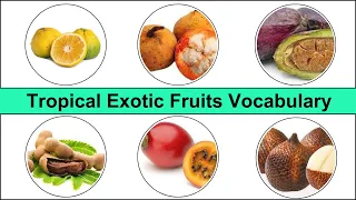 Exotic Fruits List ll Tropical Fruits Vocabulary ll Exotic Fruits Name