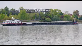 Binnenschiffahrt / Marine Traffic - Binnenschiffe auf dem Rhein bei Biblis, Rheindürkheim, Worms