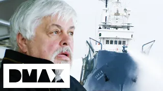 Japanese Whaling Ship Attacks The Sea Shepherds | Whale Wars
