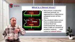 Post Basic 1st Year - Microbiology - Viruses - Rabies