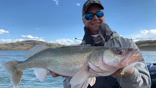 Casting Storm Largo Shads For GIANT Fort Peck Walleyes - In Depth Outdoors TV S15 E26