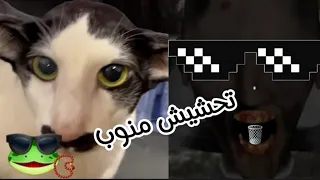 تحشيش المنوب الجزء١ granny1