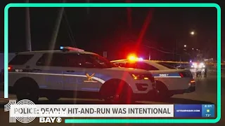 Deadly hit-and-run near St. Petersburg was intentional, police say