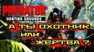 ОХОТНИК ИЛИ ДОБЫЧА ? • Predator: Hunting Grounds (2020) Gameplay Demo