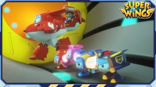 [SUPERWINGS Ranking Show] We Need to Work Together! | Top5 EP50 | Superwings | Super Wings