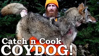 COYOTE Catch, Clean, Cook (The HONEST Truth About Meats!) | Calling Out Steve Rinella