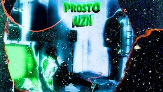 PROSTO PIJUS - NZN (Official Audio)