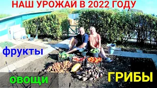 Урожай фруктов и овощей 2022 года. Грибы!!!