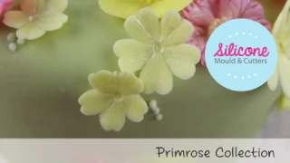 Primrose Collection - Blossom Sugar Art