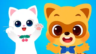 Meow, Meow, Kitty Cat 🐱| Kids Songs & Nursery Rhymes | Animal Song for Kids | Lotty Friends