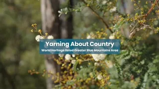 Yarning about Country across the Greater Blue Mountains Area