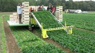Amazing agriculture technology, modern harvest machine, modern agriculture compilation 2019 #part13