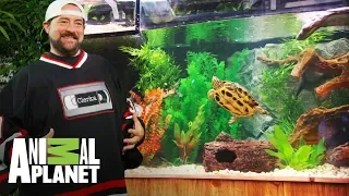 ¡Las tortugas de Kevin Smith tienen un nuevo hogar! | Con el agua al cuello | Animal Planet