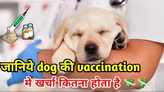 जानिये dog की vaccination मे खर्चा कितना होता है / Rabies vaccine // Combined vaccine