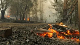 Top News - 297 zjarret e Kalifornisë/ Përse janë një ogur i keq për 2021-shin!